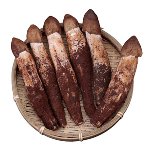 云南鸡枞菌新鲜野生鸡棕荔枝菌三塔伞把斗鸡菇云南特产菌子鸡纵