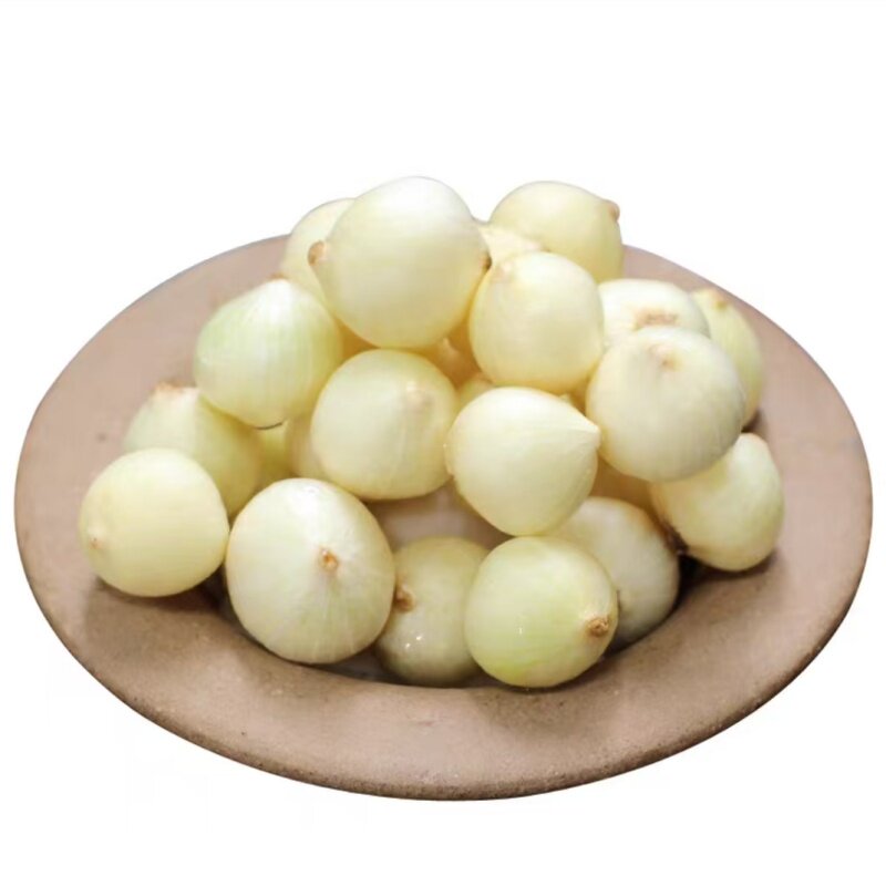 苦藠野葱新鲜团葱洋葱头苦茭小蒜