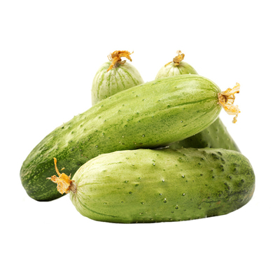 满地爬水果黄瓜种孑旱黄瓜籽子