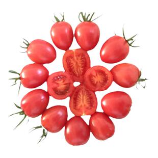 小番茄种子孑超甜小柿子粉贝贝圣女果种籽苗四季阳台菜园大棚佳妮