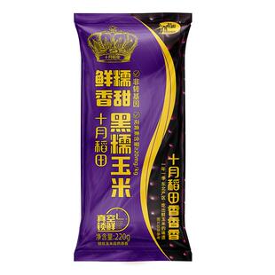 十月稻田黑糯玉米东北糯苞米含花青素10支装新鲜玉米官方正品真空