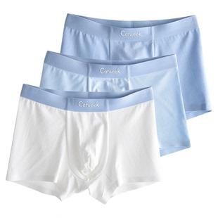 CatweK儿童内裤莫代尔夏薄a类男童平角裤青少年四角裤无痕全棉裆