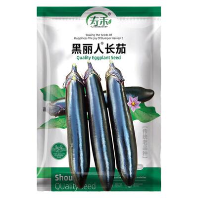寿禾黑丽人长茄种子肉厚高产