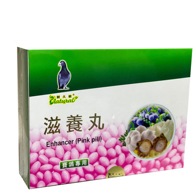 滋养丸赛鸽信鸽耐久能