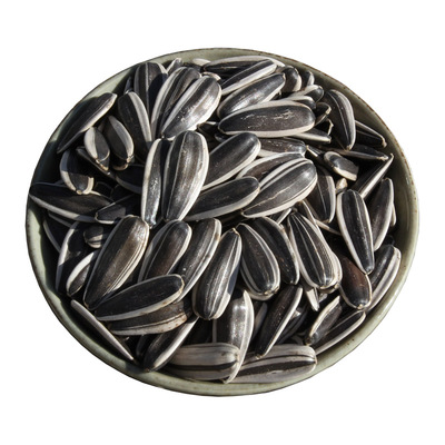 现炒熟内蒙古原味黑葵花子生