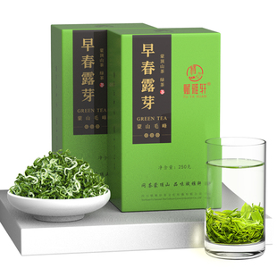 绿茶2025新茶明前特一级高山毛峰茶叶赋雅轩四川雅安蒙顶山茶500g