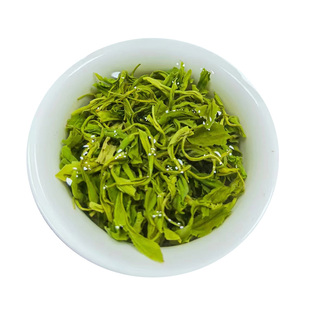 海南五指山春绿茶2025新茶 清香型回甘 500克茶叶 春茶 绿茶春芽