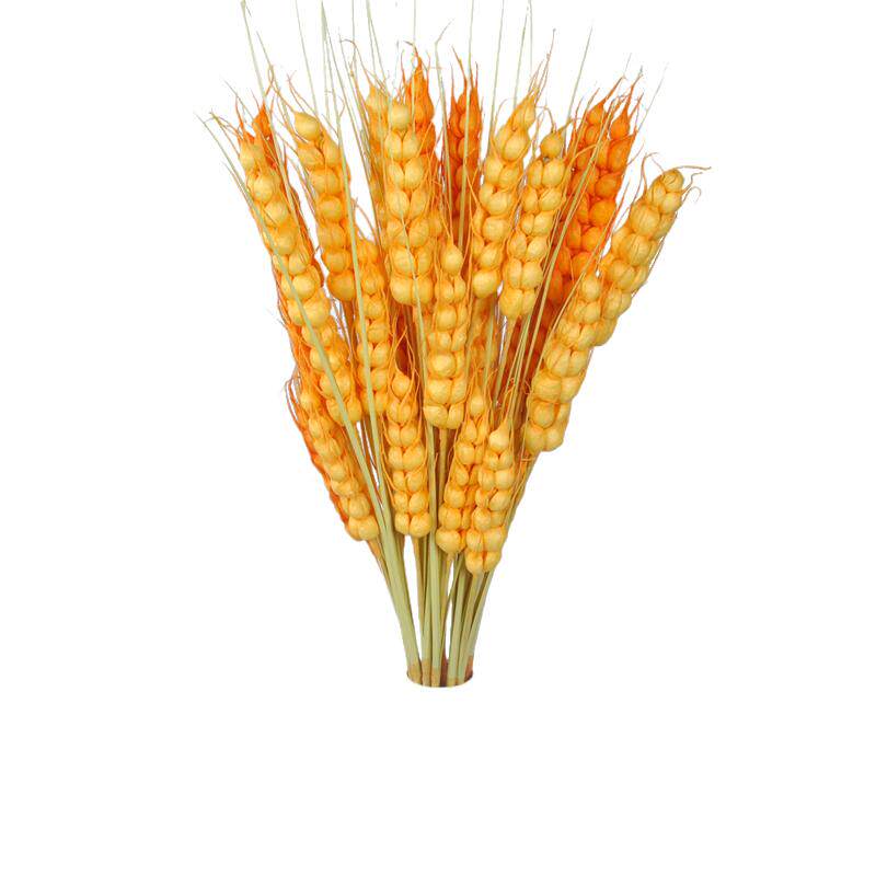 庆典影楼开业花艺摄影道具门口
