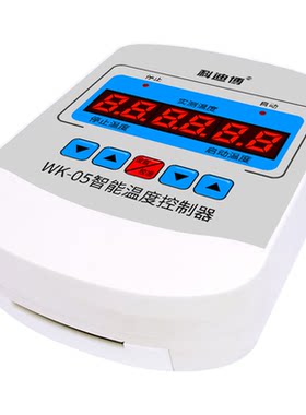 05电子款大功率加热器循环泵220V