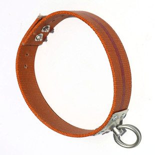 包邮狼狗套宠物用扣狗项圈狗链狗圈训狗链项圈牵引多孔调节绳链子