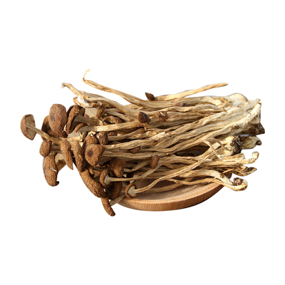 茶树菇500g未开伞新鲜天然