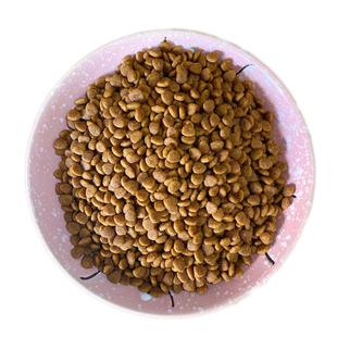 阿幸素食宠粮 1号纯素成幼猫通用猫粮/亮皮毛助消化排毛球/5斤