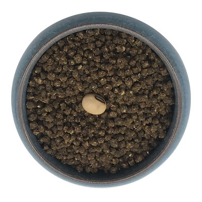 西蜀堂手工提性打彩画眉鸟食饲料