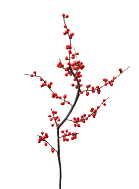 Hollihom纽芬兰浆果红仿真冬青枝