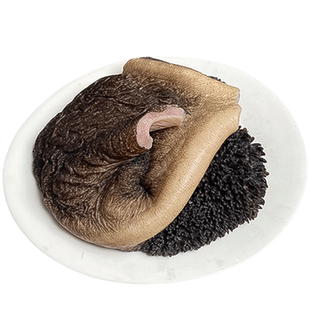 新鲜牛肚 牛草肚带毛牛肚生牛肚优质大块黄牛肚批发商用火锅食材