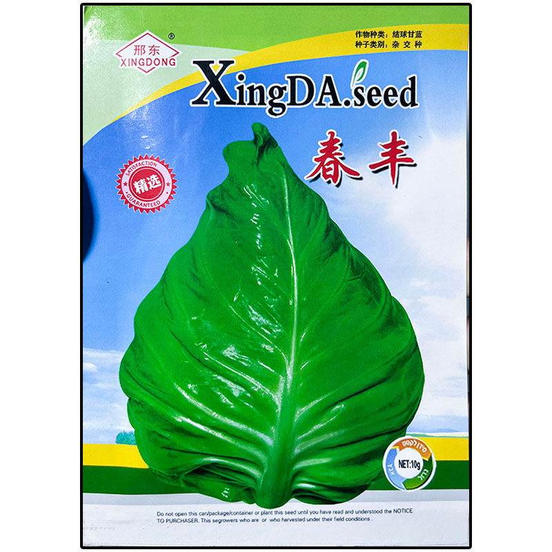 春丰10g牛心甘蓝莲花白种子杂交