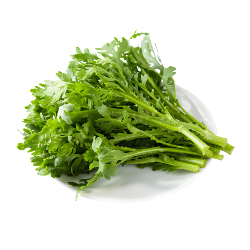 茼蒿菜种籽中叶大小叶皇帝菜种子四季播种蔬菜阳台抗寒热蔬菜种孑