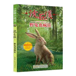 野兔也疯狂 沈石溪动物小说 兔子也疯狂fb小学生三四五六年级课外书阅读书籍儿童文学读物安徽少年儿童出版社