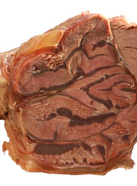五香新鲜放养500g牛肉