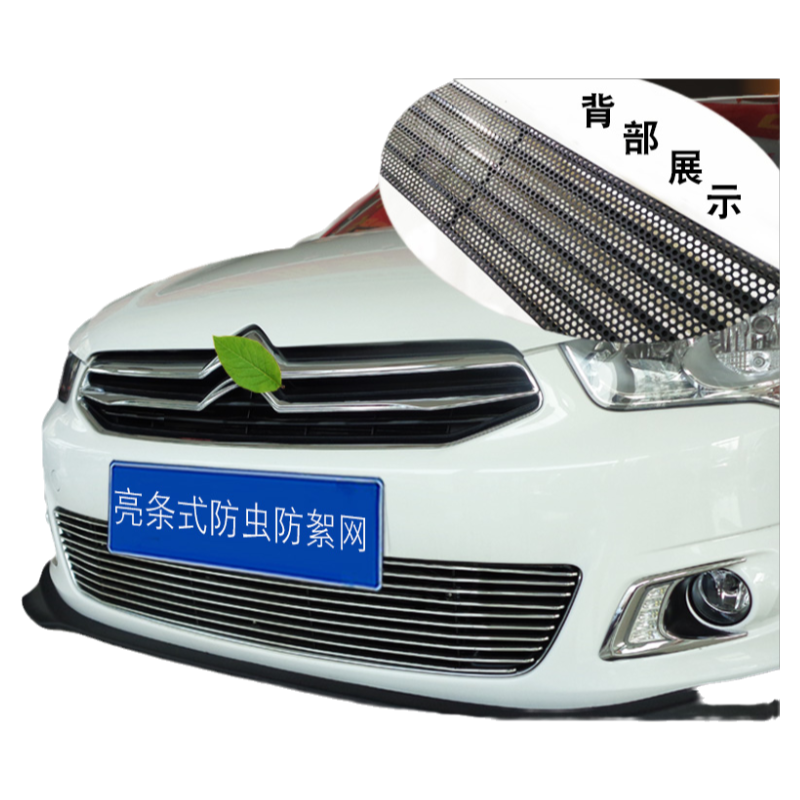 雪铁龙爱丽舍中网外观改装