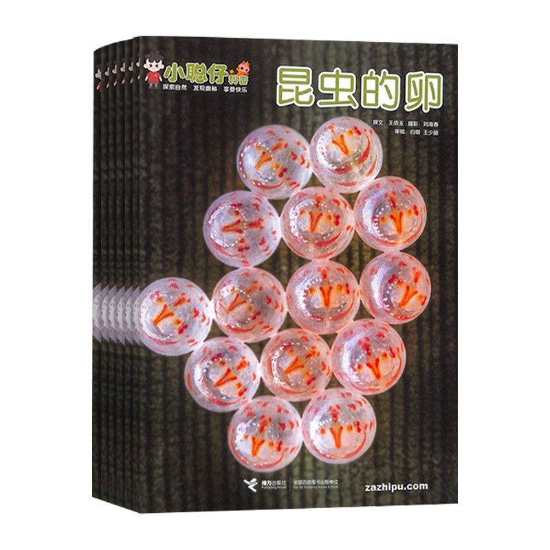 小聪仔自然科普版杂志2025/2026年共12期儿童科学期刊杂志内容丰富趣味十足解密神奇世界真实图片提升阅读赠贴纸和历史宝盒图书