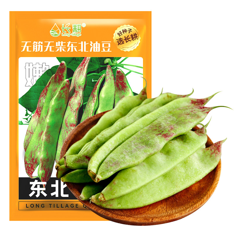 东北黑龙江油豆角种籽压趴架开锅烂绿满架春四季青小油豆蔬菜种子