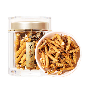 阿依舍头茬冬虫夏草正品大号新干断虫草肉节正宗干货滋补年货礼盒