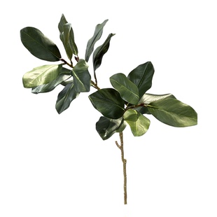 仿真玉兰叶假绿植白碗花苞叶家居装饰假花仿真叶子玉兰枝客厅造景