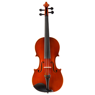 Christina中提琴 2019马耳他国际提琴制作比赛金奖 中提琴