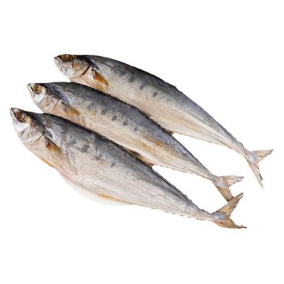 马鲛鱼干500g自晒风干咸鱼干整条淡干海鱼干货北海特产梅香鲅鱼干