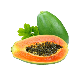 改良高产矮化木瓜苗冰糖牛奶红肉木瓜大青水果黄金木瓜苗四季种植