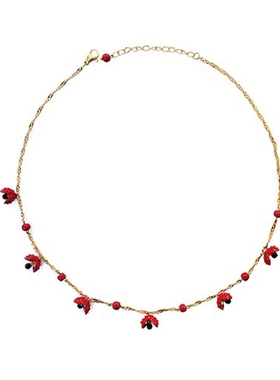 彩彩李花椒怒放红色项链手链