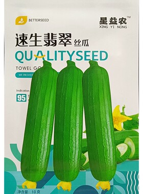 速生翡翠丝瓜种子早熟10克