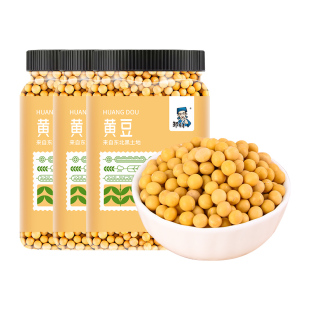 东北非转基因新黄豆罐装小农家自种大豆生豆芽打豆浆专用豆子