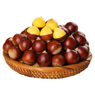 锥栗生新鲜板栗建瓯现摘高山油栗野生毛栗糖炒栗带壳尖栗整箱椎栗