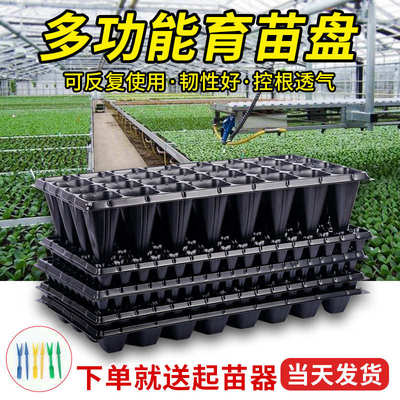 育苗盘穴盘育苗盆塑料杯种植神器营养钵蔬菜花卉育种农用扦插托盘