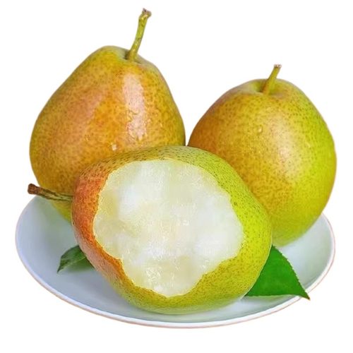 正宗香梨梨子水果新鲜当季整箱现摘脆甜红香酥9斤大果特价精选