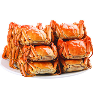 兴化红膏大闸蟹兴化大闸蟹鲜活特大螃蟹现货全母2.5两49规格香草