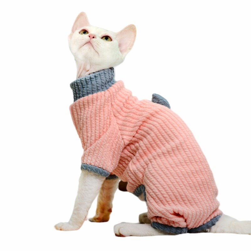 MOMO宠物猫衣服打底小猫四脚衣无毛猫衣服英短幼猫暹罗猫保暖衣服