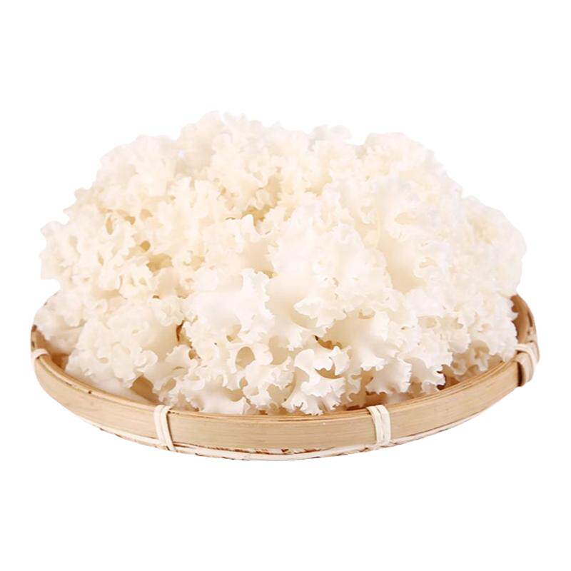 绣球菌新鲜食用菌菇凉拌煲汤火锅酒店食材蘑菇1kg菌蜂窝菌绣球