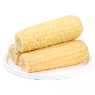 白糯玉米甜糯东北新鲜白糯玉米真空装加热即食新鲜玉米棒代餐粗粮