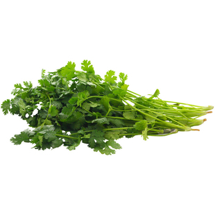 古老农家高产优质蔬菜种子 小叶香菜 芫荽 香草无涩味 四季播