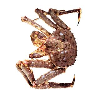 大连帝王蟹鲜活俄罗斯长脚蟹皇帝蟹螃蟹澳龙生冻进口海鲜礼盒送礼