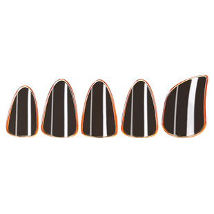 琵琶指甲专业演奏初学者儿童专用透明尼龙赛璐璐指甲送收纳盒胶布