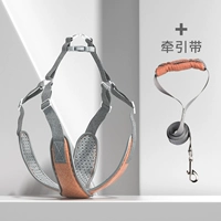 Жизнеспособность оранжевого+тяговая ремень