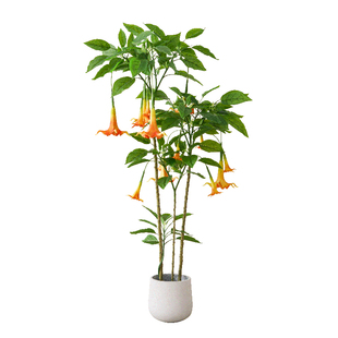 北欧大型仿真绿植盆栽仿生植物曼陀罗室内客厅装饰假花落地摆件树