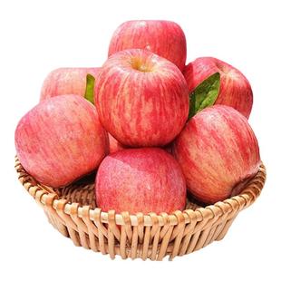 拉丝苹果山东烟台红富士5斤80-85mm条纹栖霞脆甜苹果