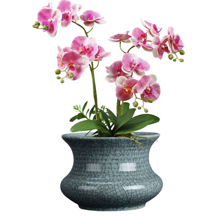 青瓷哥窑多肉蝴蝶兰专用花盆大号陶瓷清仓简约吊兰绿植冰裂兰花盆