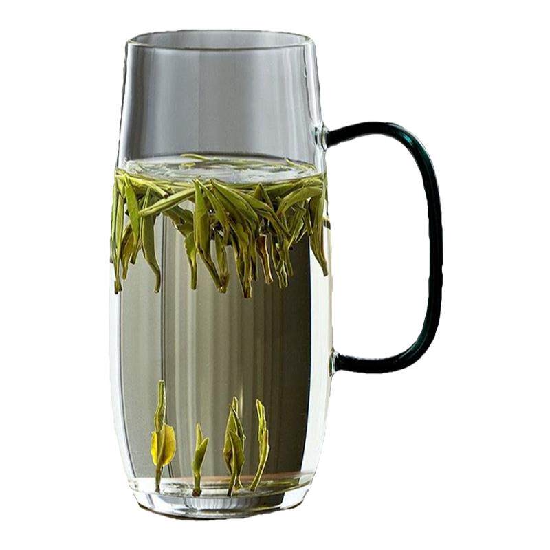 玻璃水杯女士高颜值玻璃杯泡绿茶轻奢茶杯透明耐热高硼硅带把杯子