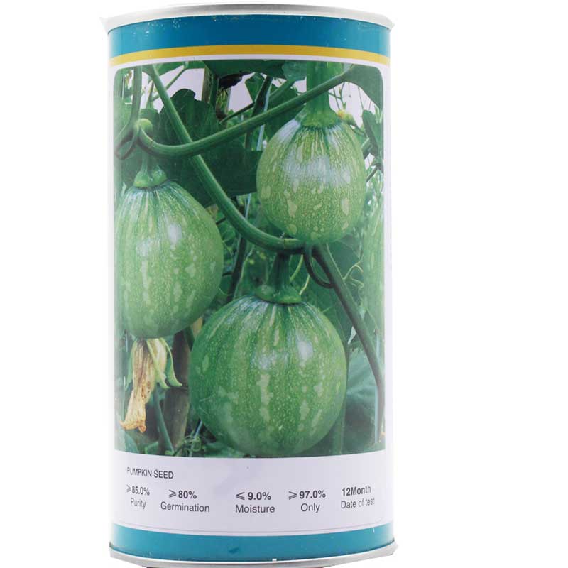 串铃花皮早熟圆型厚肉生长快种子